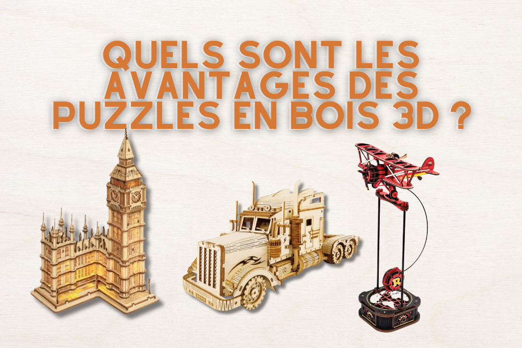 Quels sont les avantages des puzzles en bois 3D ?