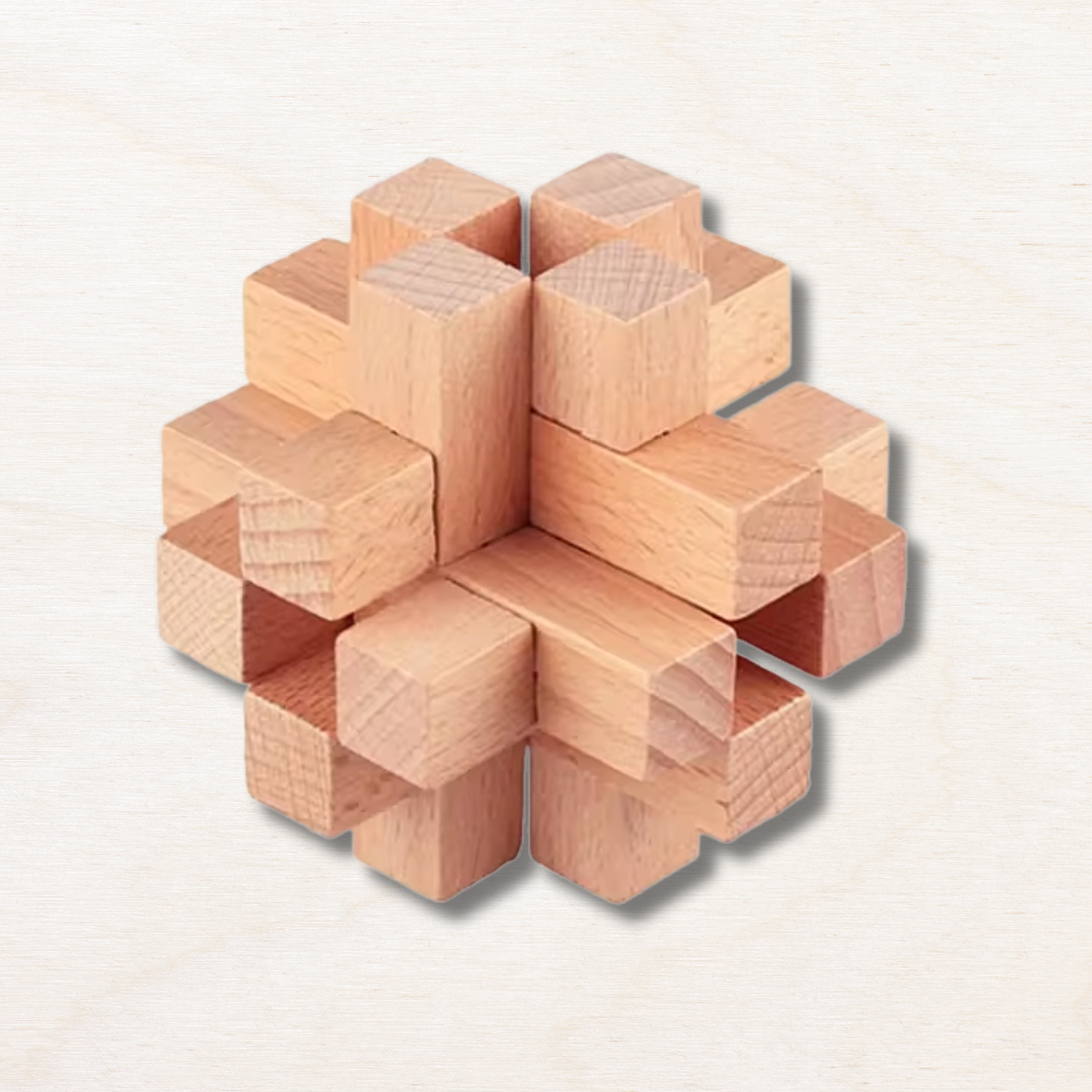 casse-tête en bois interverrouillé EcoCraft