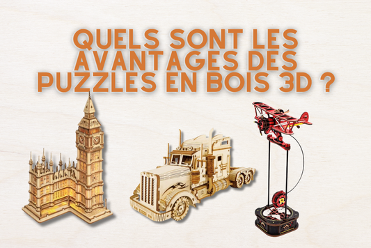 Quels sont les avantages des puzzles en bois 3D ?
