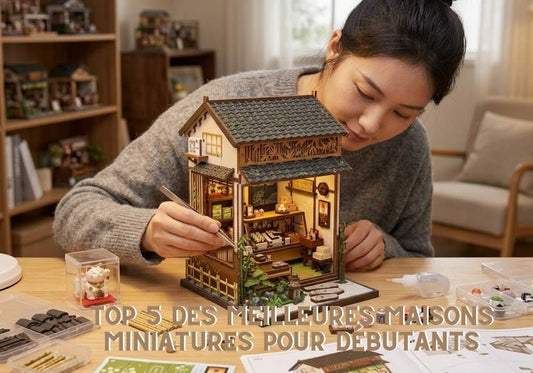 Top 5 des Meilleures Maisons Miniatures pour Débutants