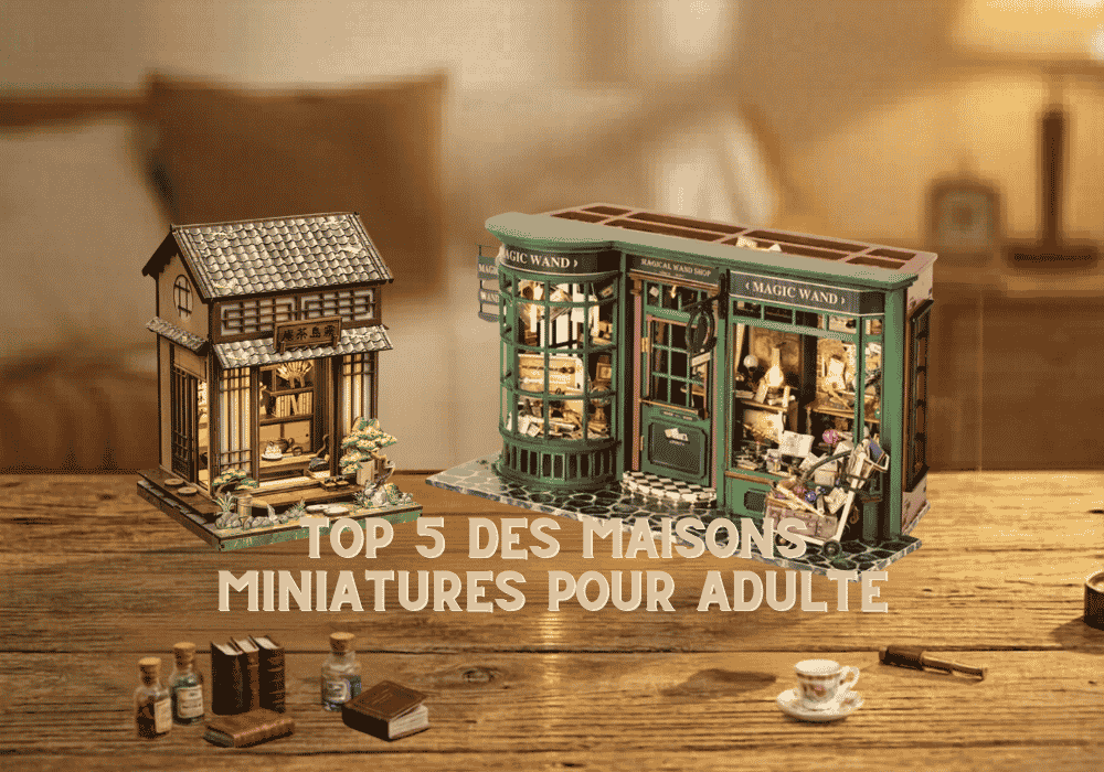 Top 5 des maisons miniatures pour adulte : notre sélection pour construire, décorer et s'évader