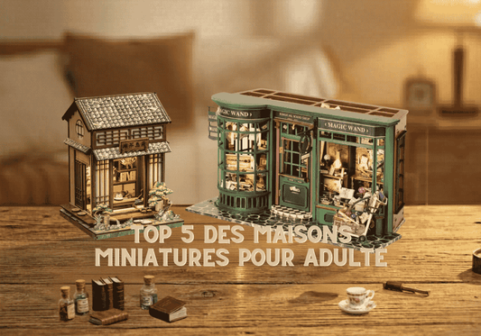 Top 5 des maisons miniatures pour adulte : notre sélection pour construire, décorer et s'évader
