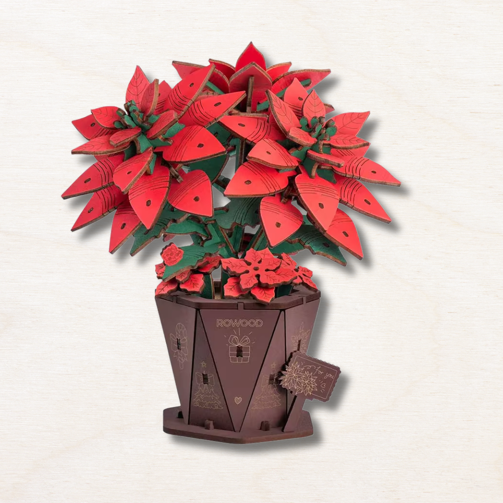 Maquette en bois fleur : étoile de Noël EcoCraft