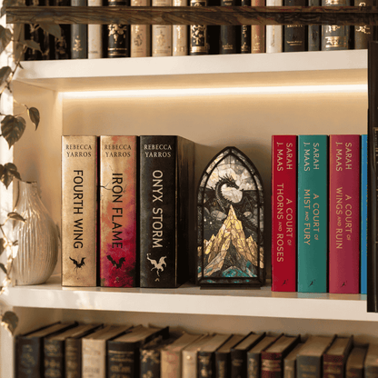 décoration bibliothèque : Dragon